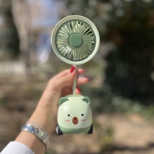 مینی فن